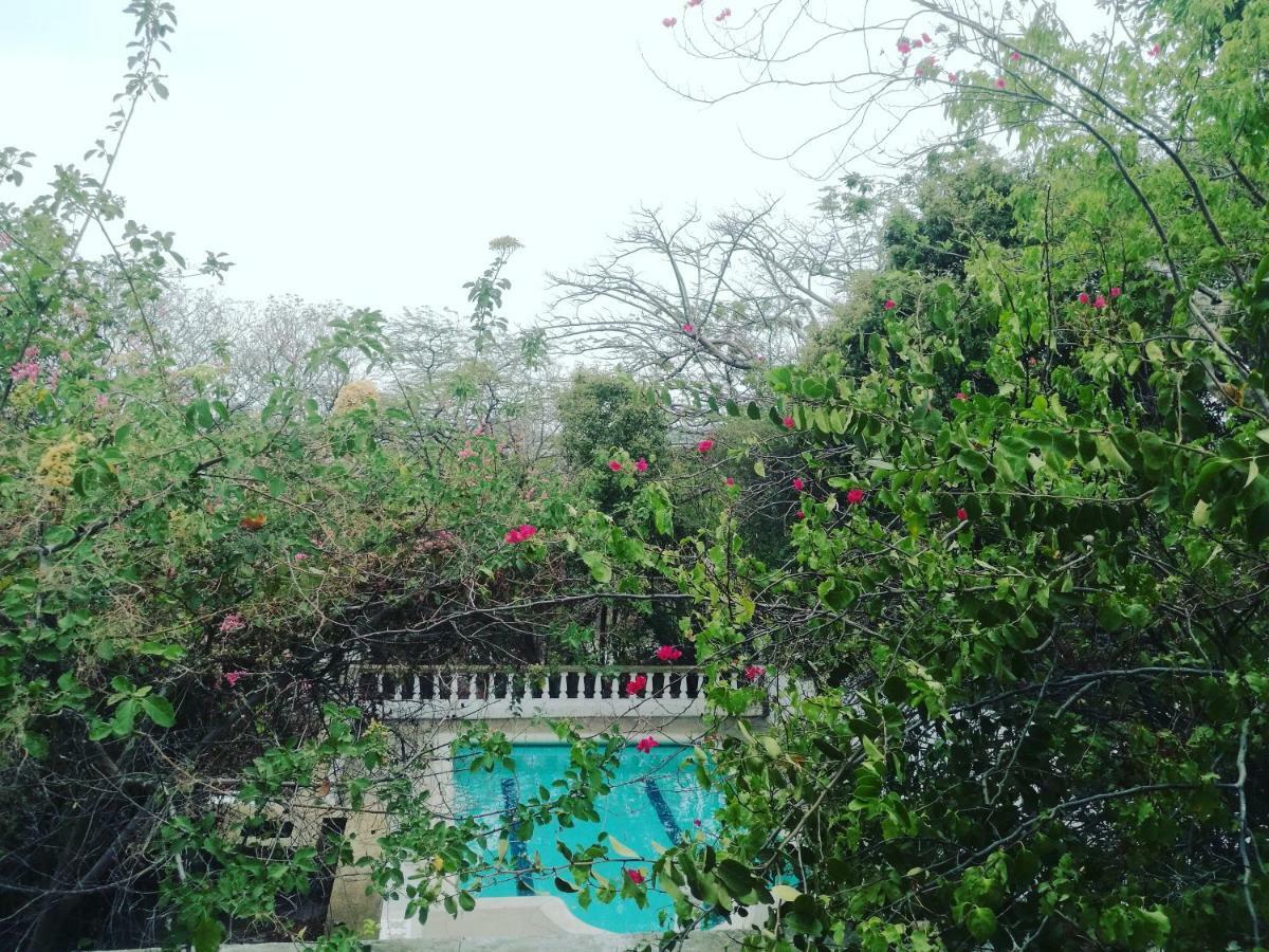 Jardin Etnobotanico Villa Ludovica Santa Marta  Zewnętrze zdjęcie