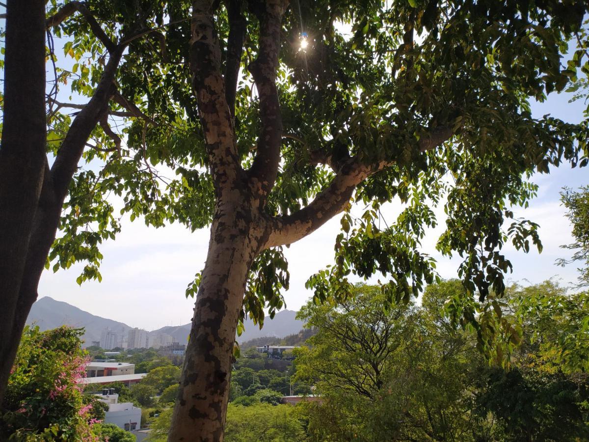 Jardin Etnobotanico Villa Ludovica Santa Marta  Zewnętrze zdjęcie