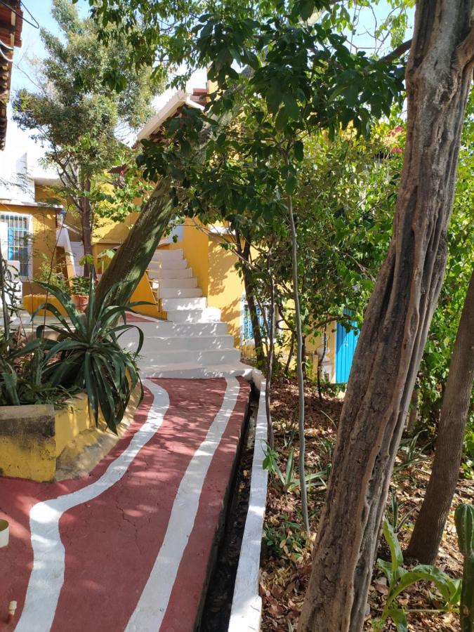 Jardin Etnobotanico Villa Ludovica Santa Marta  Zewnętrze zdjęcie