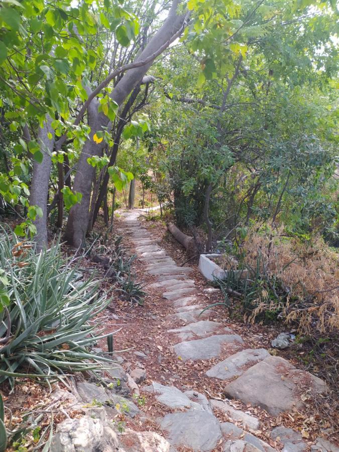 Jardin Etnobotanico Villa Ludovica Santa Marta  Zewnętrze zdjęcie